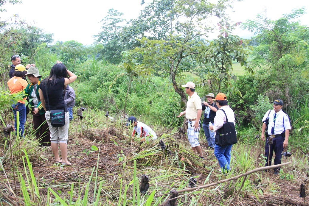   CMU officials, faculty, staff and students join Tree Planting activity held at Mt. Musuan peak 