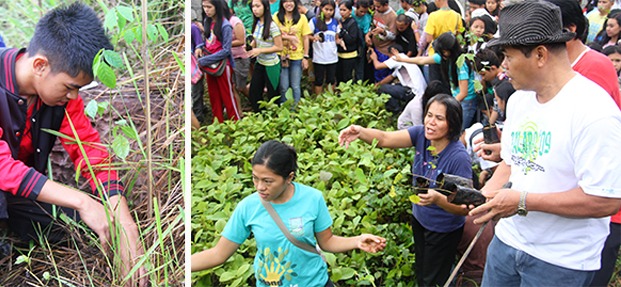 Left to right:  CMU faculty, staff and students participate the Annual tree planting activity